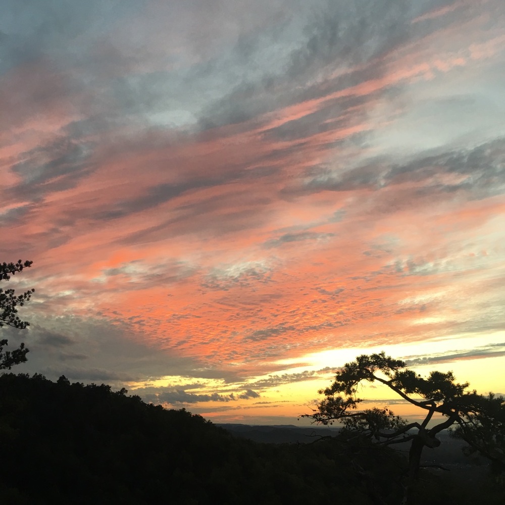 Meet your Posher, Sean